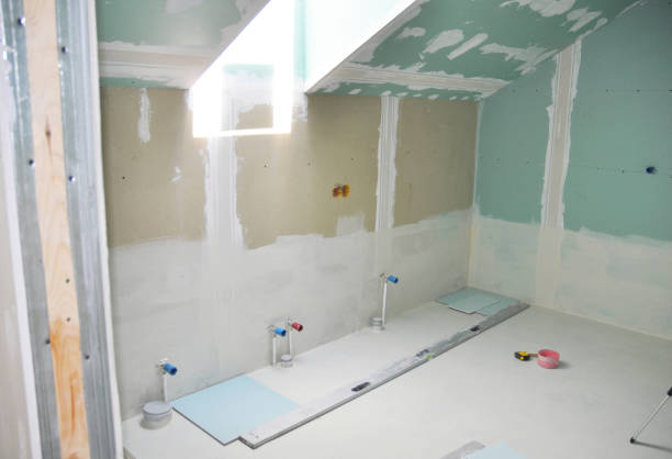 Best Water-Damaged Drywall Repair  in Roseland, FL